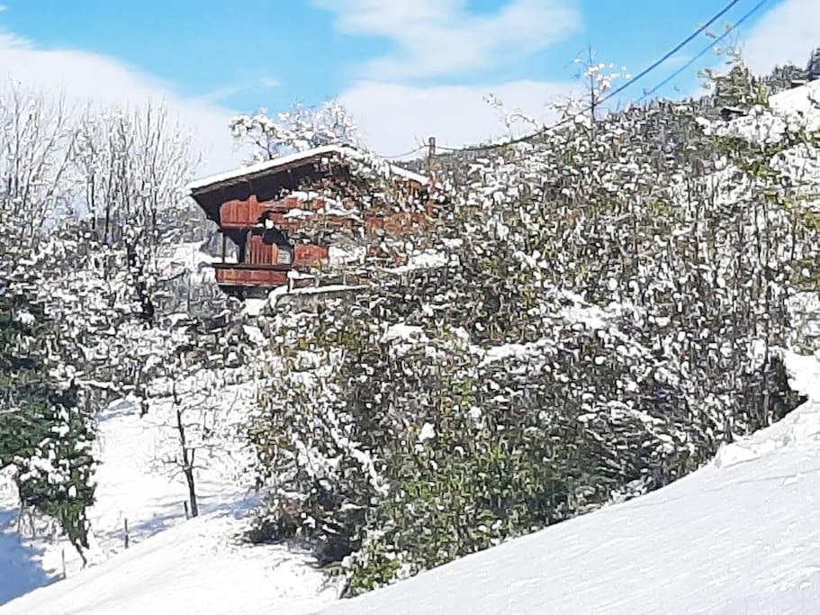 Mountain Chalet Mayrhofen Extérieur photo